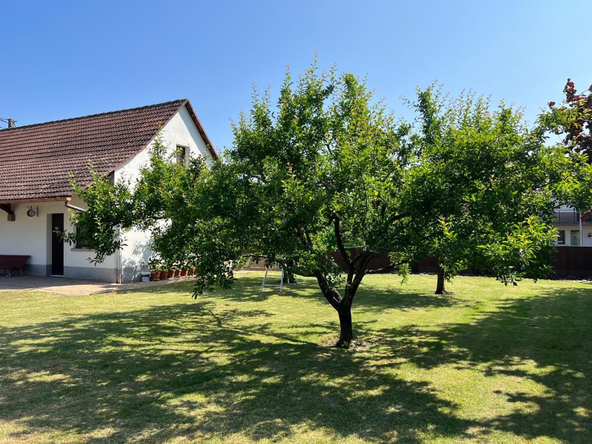 Bonne Idee - Suite Georgette - Meuble De Tourisme 3 Etoiles Châtenois Buitenkant foto