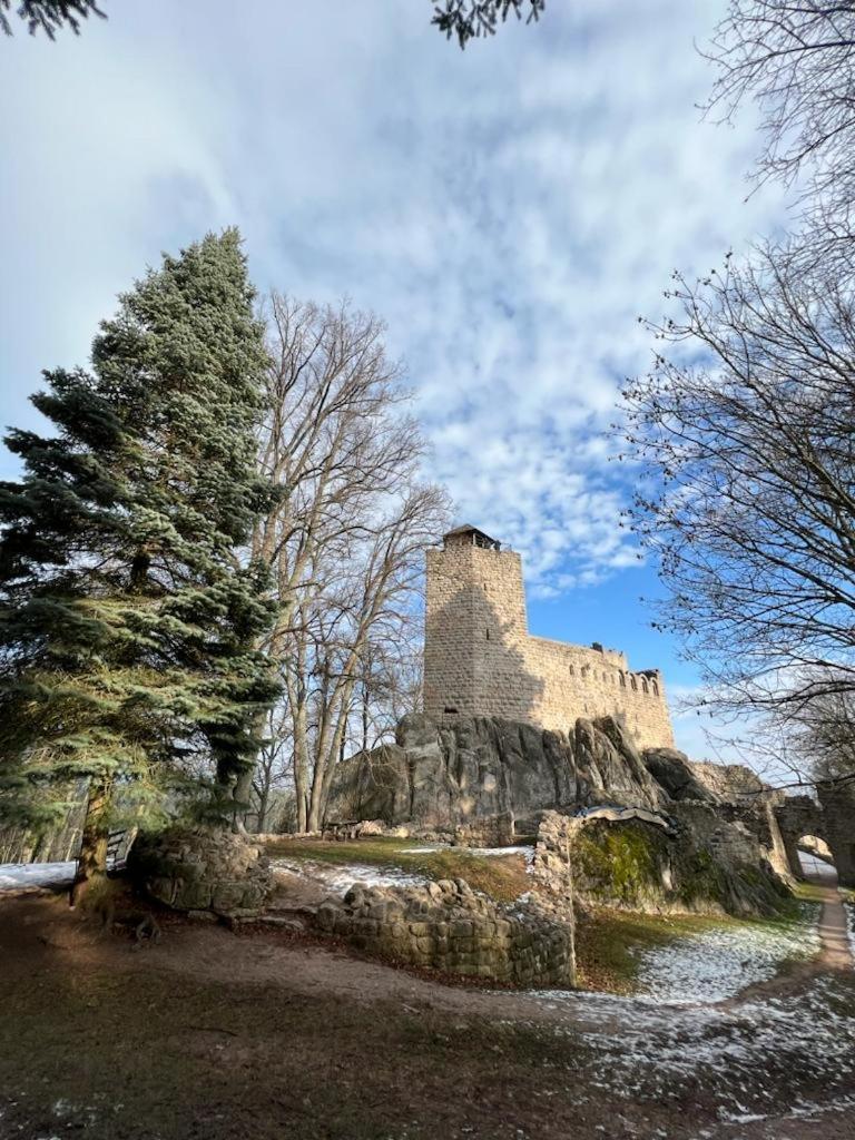 Bonne Idee - Suite Georgette - Meuble De Tourisme 3 Etoiles Châtenois Buitenkant foto